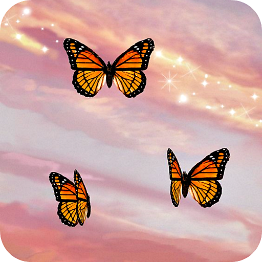 HD aesthetic butterfly wallpapers  Peakpx